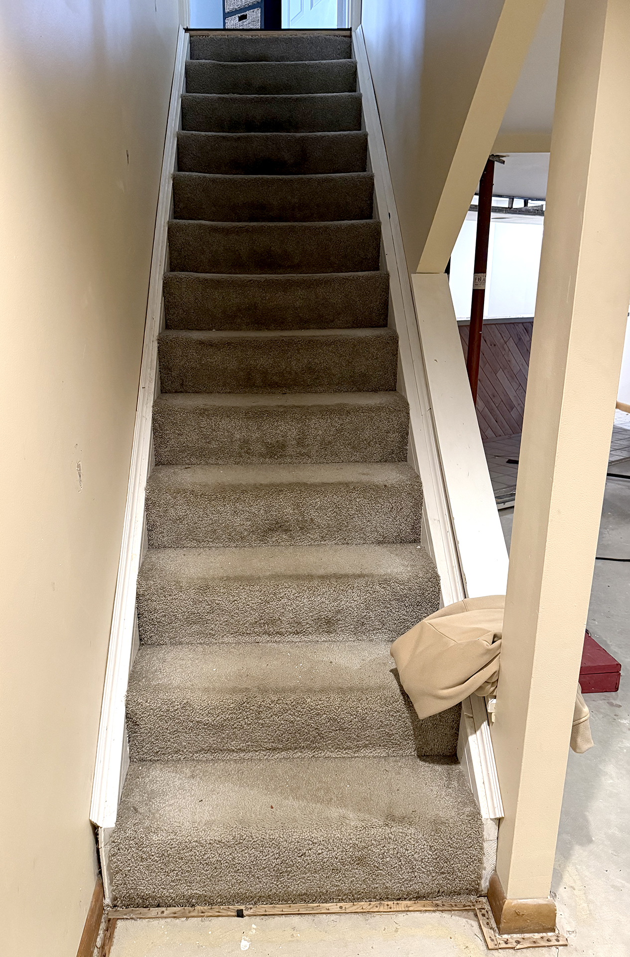 Carpeted staircase with beige walls and a beige jacket draped over the side railing near the bottom step.