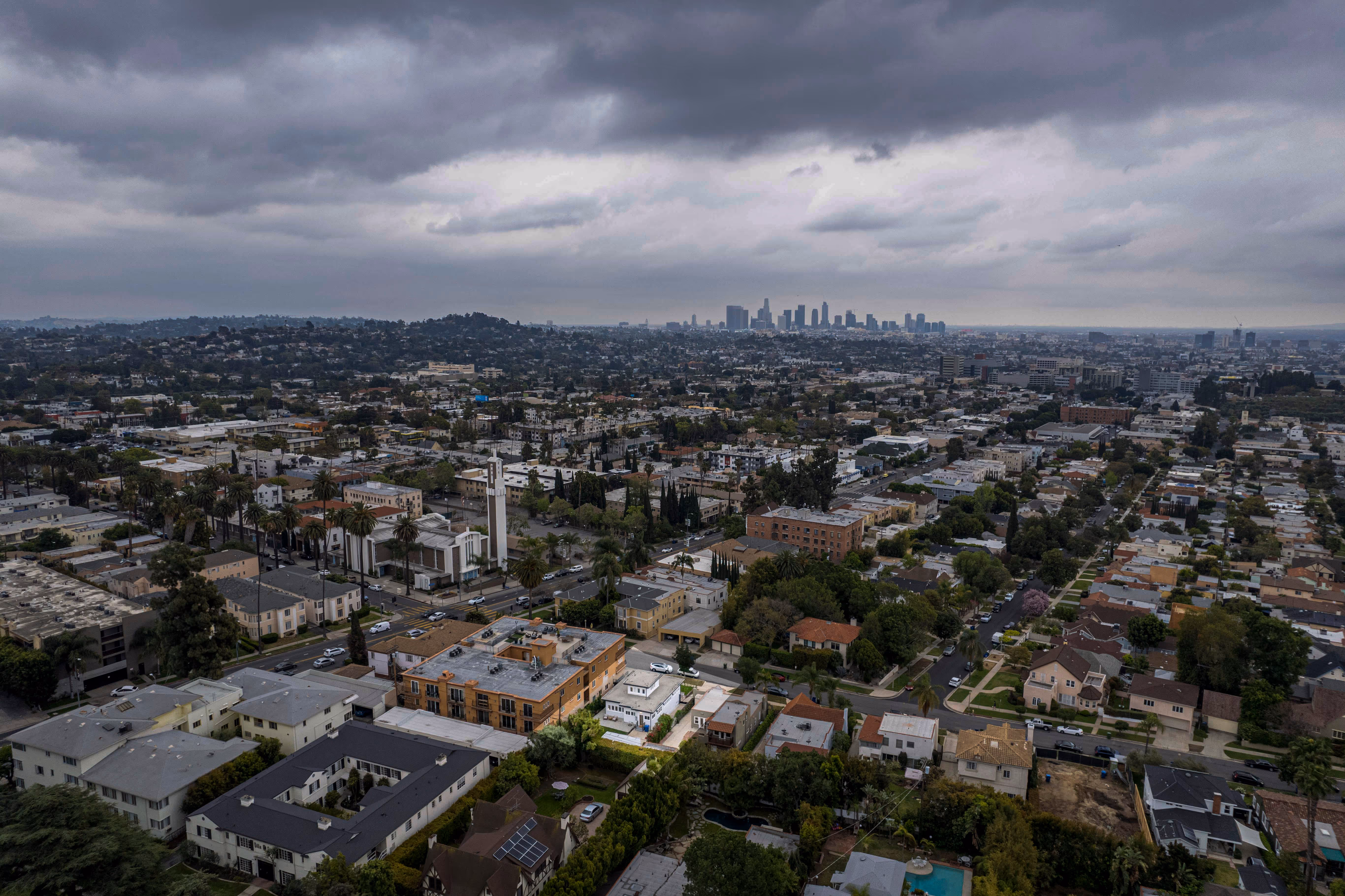Aerial view of a residential neighborhood with palm trees and a city skyline under a cloudy sky.