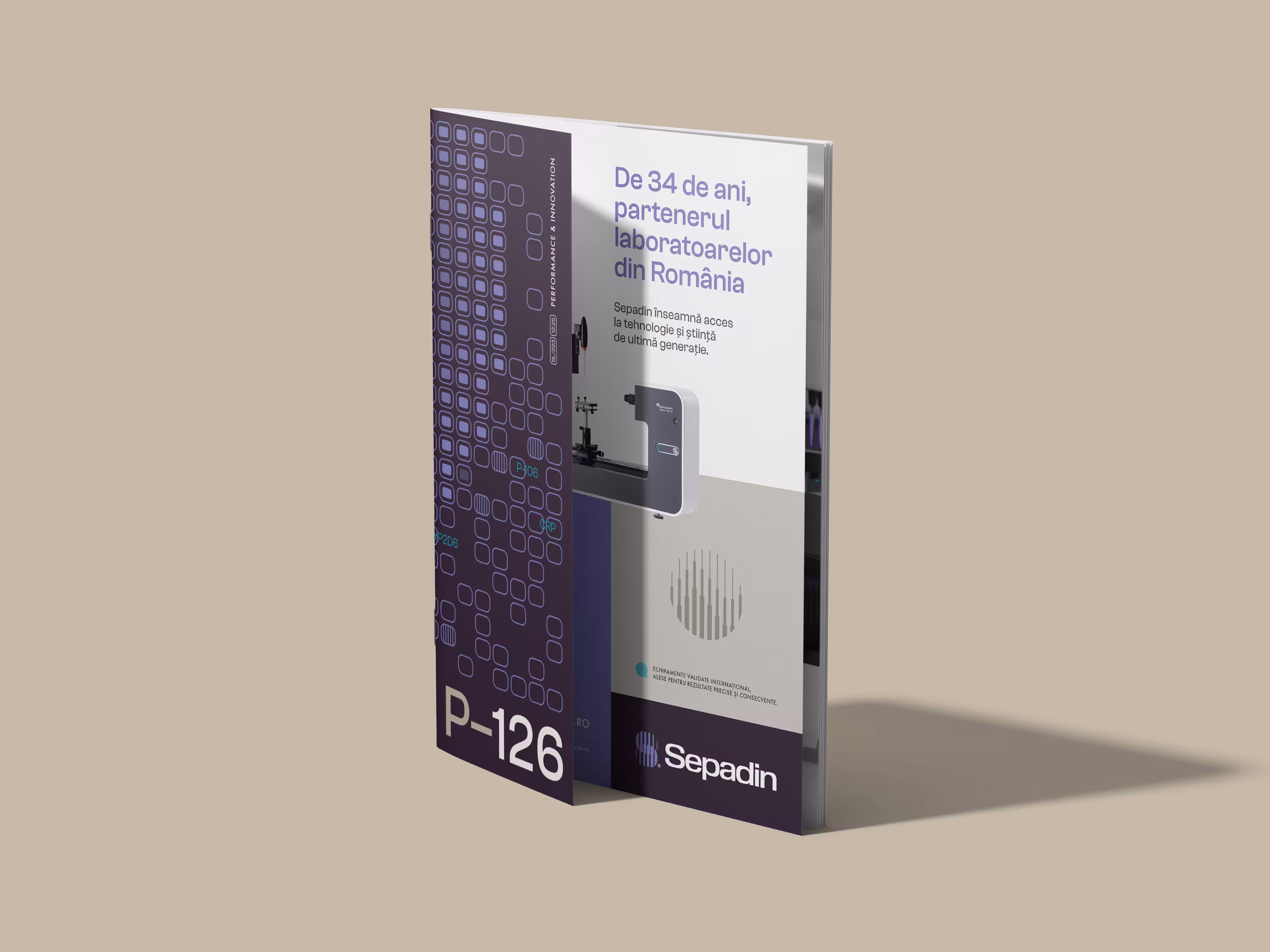 Previzualizare print complex.