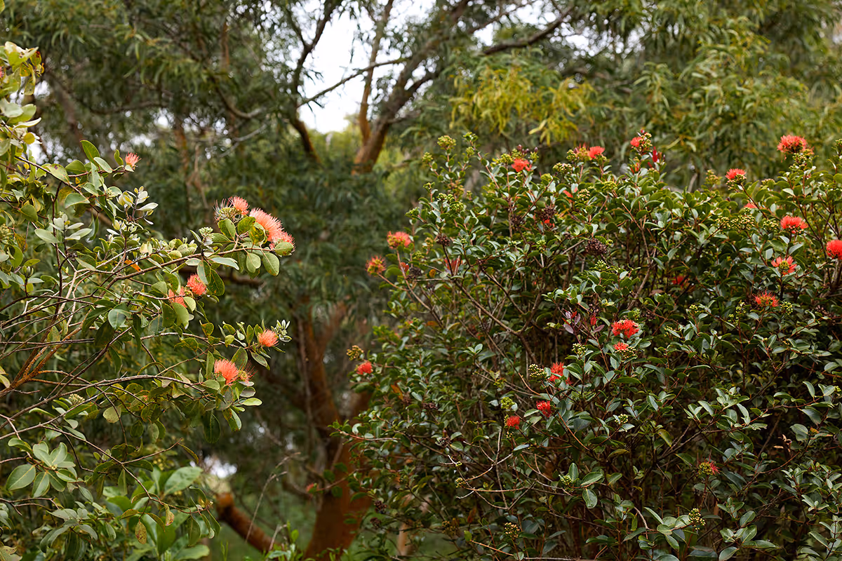 Traveler reaching out over the ocean, water streaming from their hand