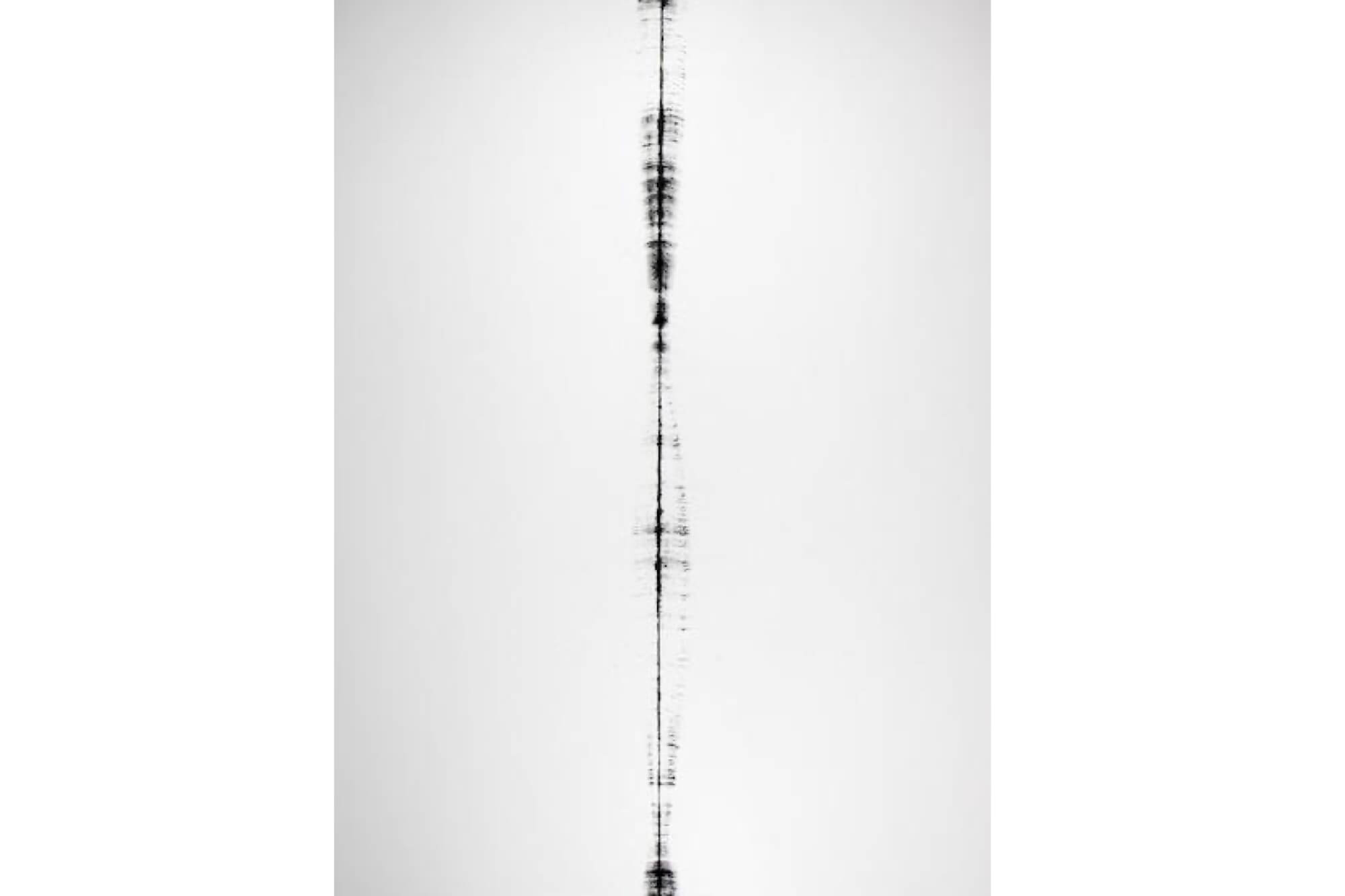 Painting from Entwined, art installation by Ethan Rose