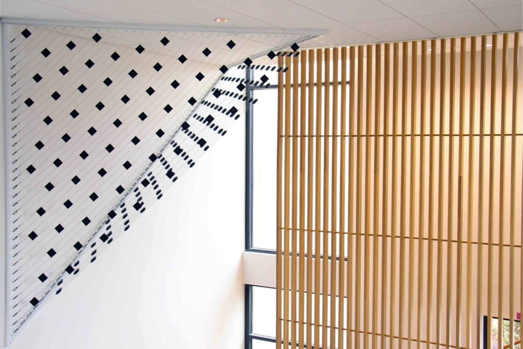 side view of variation, art installation by Ethan Rose
