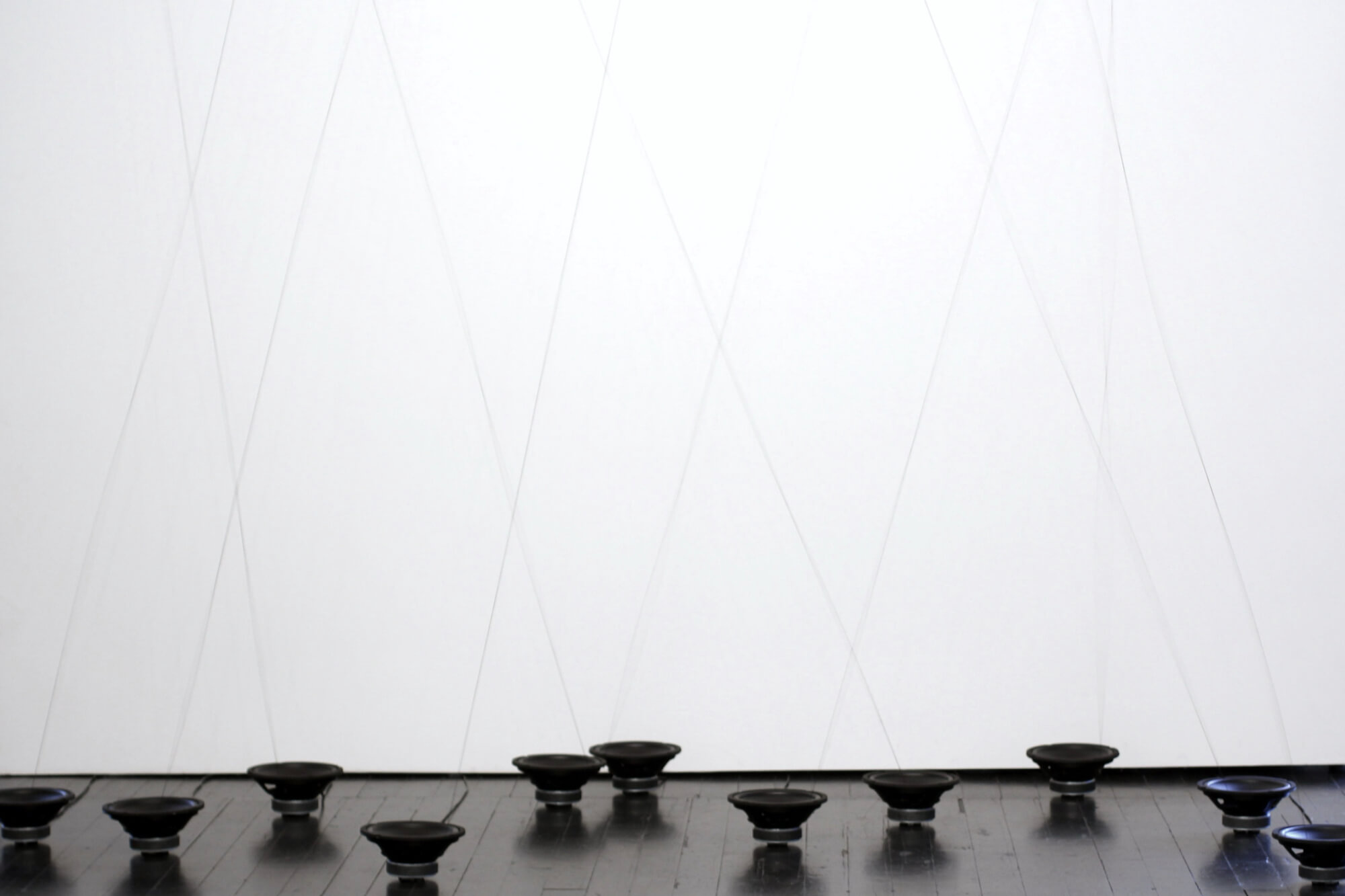 Gallery view of Entwined, art installation by Ethan Rose