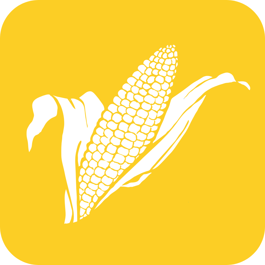 Icono amarillo y blanco de maíz