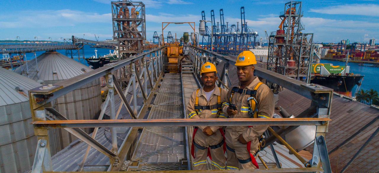 Colaboradores de DEPSA Panamá utilizando equipo de protección para trabajos en altura