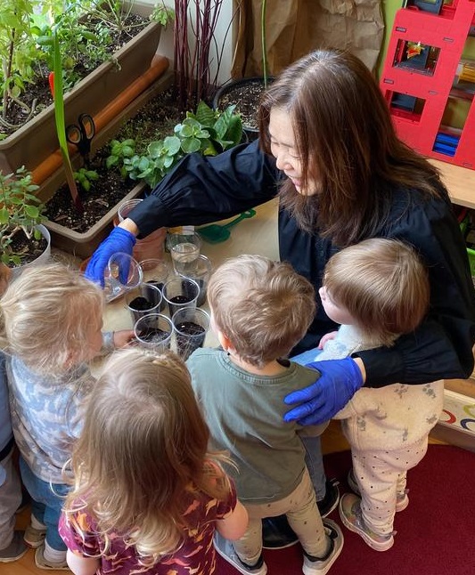 Adult woman with blue gloves teaching four toddlers about planting seeds in clear cups in a classroom.