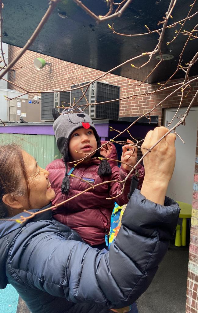A woman holding a toddler wearing a gray animal hat with ears and a face, both reaching for small buds on tree branches.