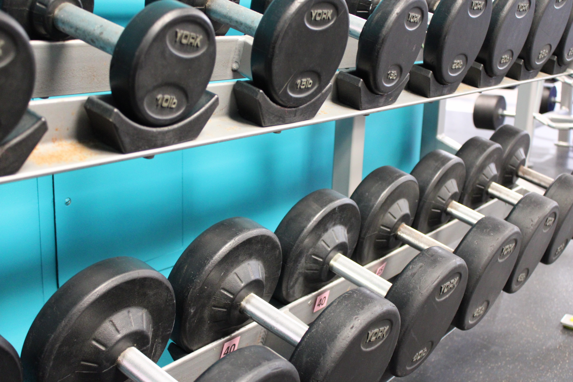 Rows of black rubber-coated dumbbells in various weights on metal racks in a gym with a turquoise wall in the background.