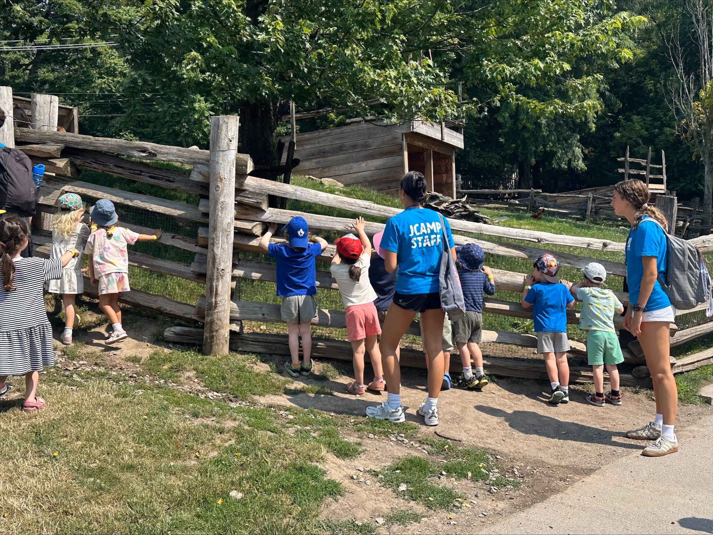 Several children looking over a wooden fence at a farm area, accompanied by two JCAMP staff members in blue shirts.