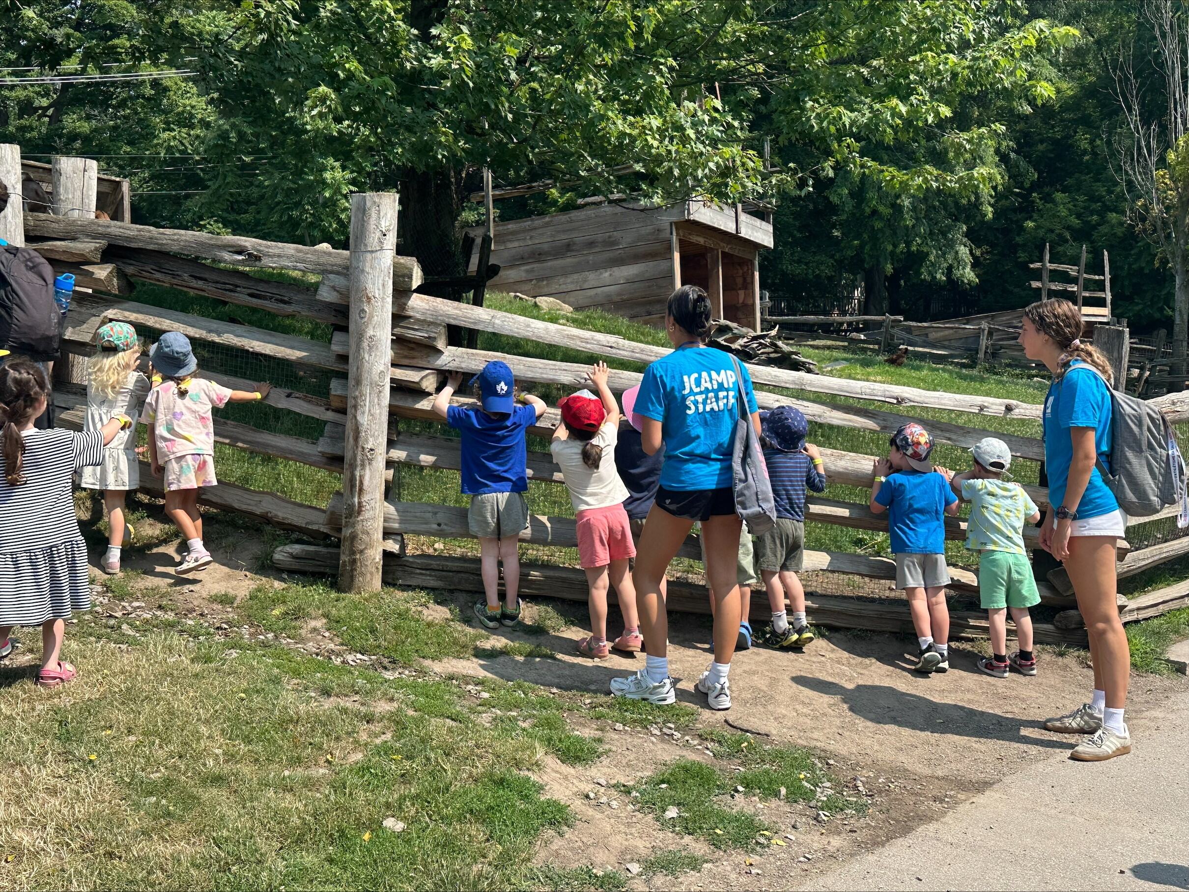 Several children looking over a wooden fence at a farm area, accompanied by two JCAMP staff members in blue shirts.