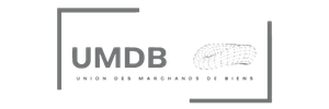 Logo Union des Marchands de Biens, client de StratIA