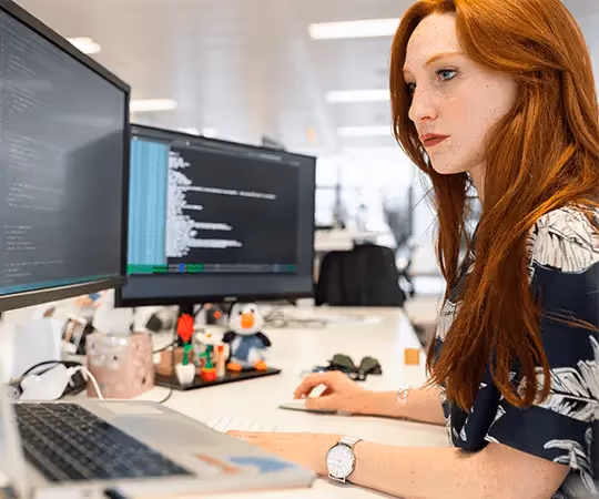 Destructive Testing in Software Development