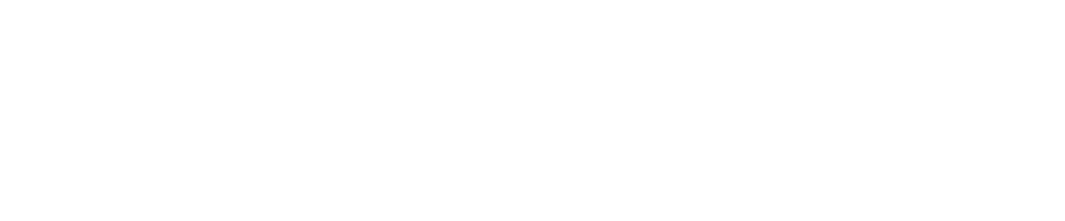 2020INC logo