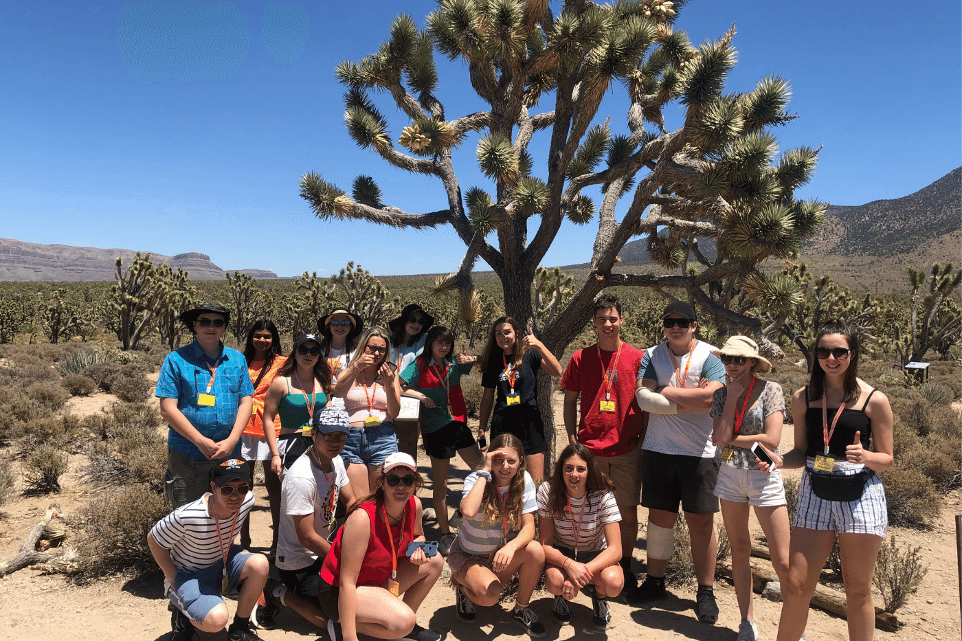 Educating Adventures EA School Tours organises international school trips to explore Geography.