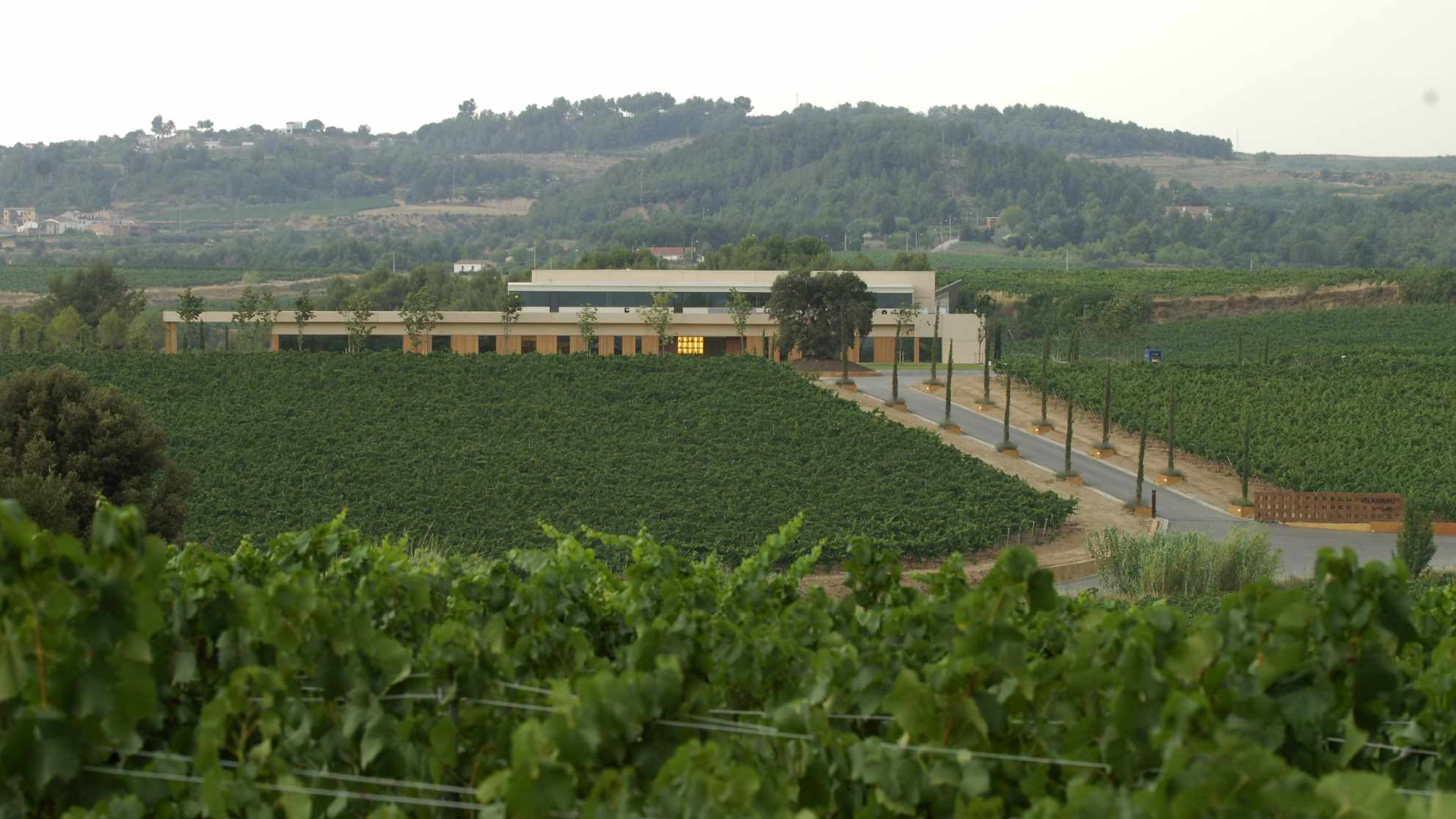 Caves Vilarnau garden