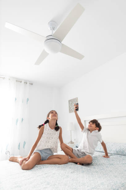 Ceiling Fan Remote Control Malfunctions in Monroeville