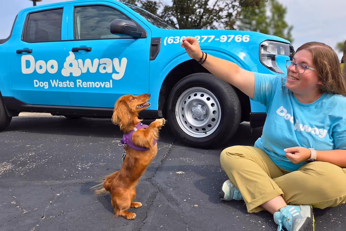 Team member in a blue Doo Away shirt sitting on the pavement, smiling and holding a treat while a small brown Dachshund stands on its hind legs in front of a blue Doo Away dog waste removal truck