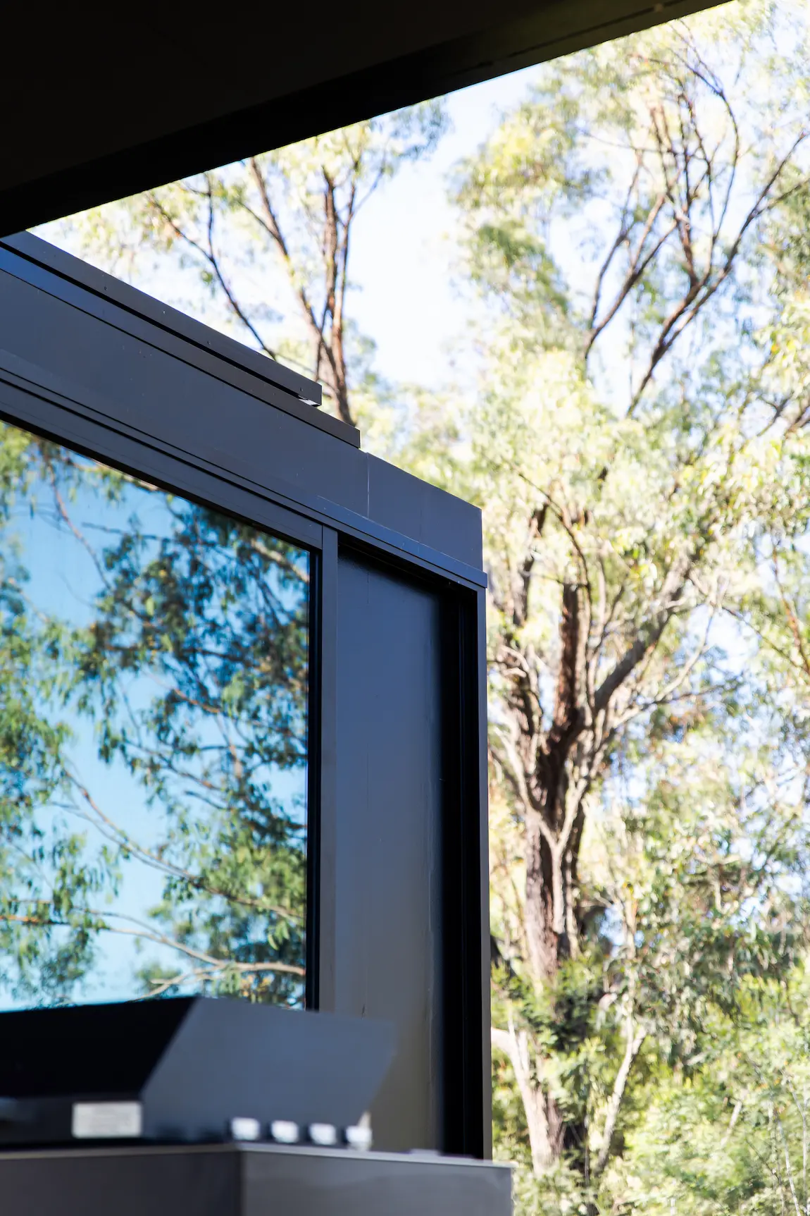 Close-up of a modern glass window reflecting tree branches against a bright outdoor background.