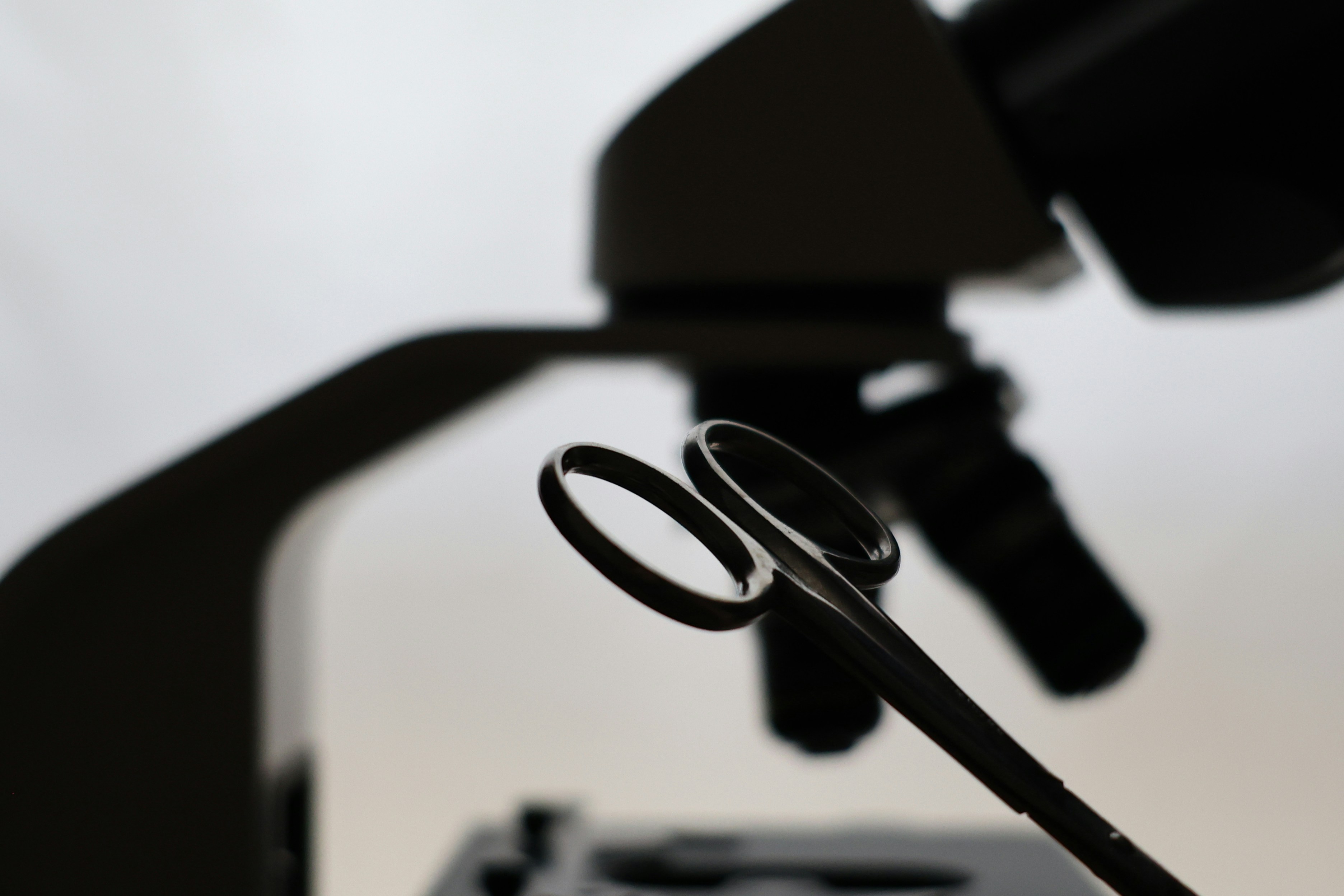 Black and white abstract pattern resembling interconnected neural networks or branches.