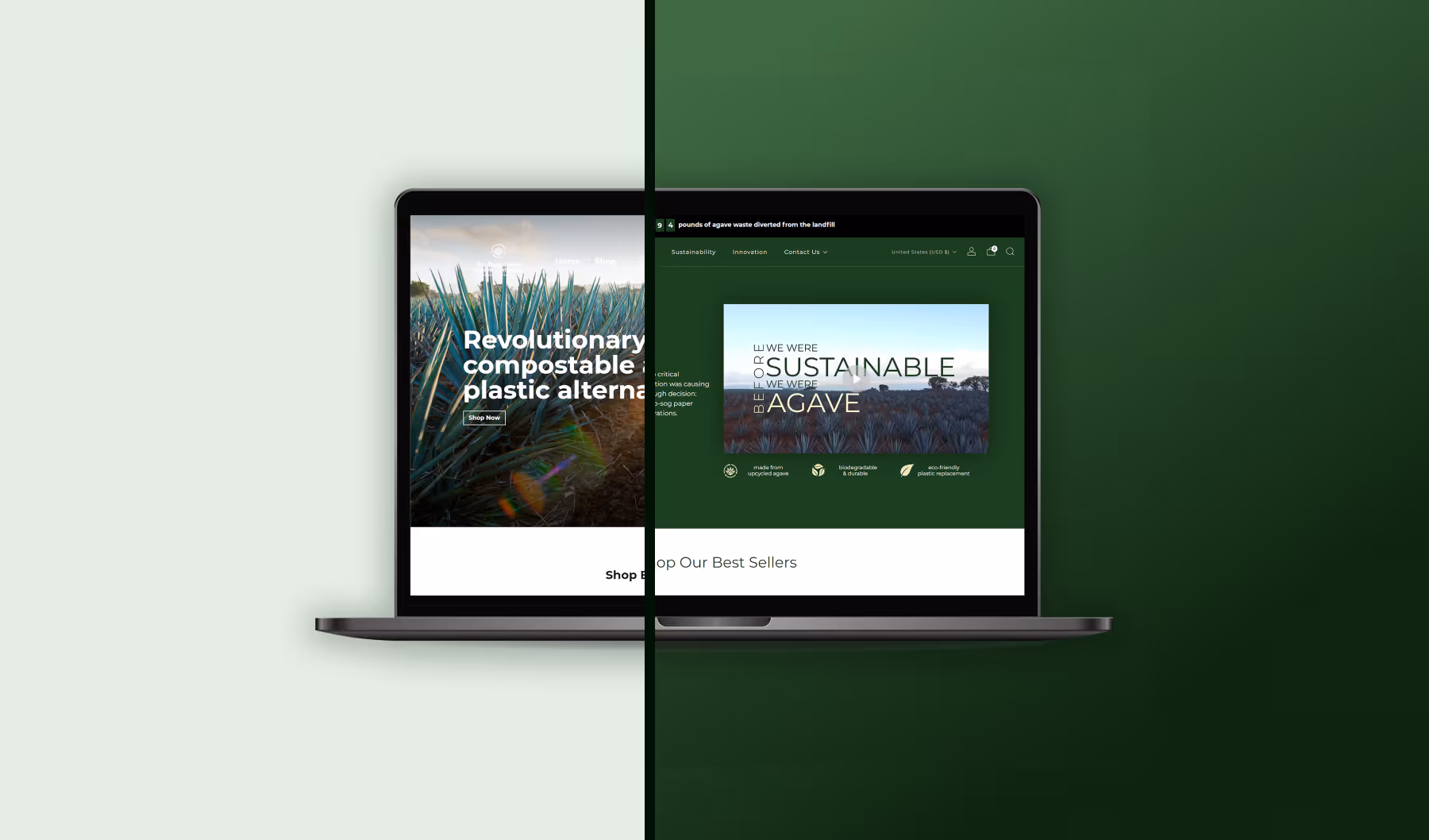 The Sustainable Agave Company