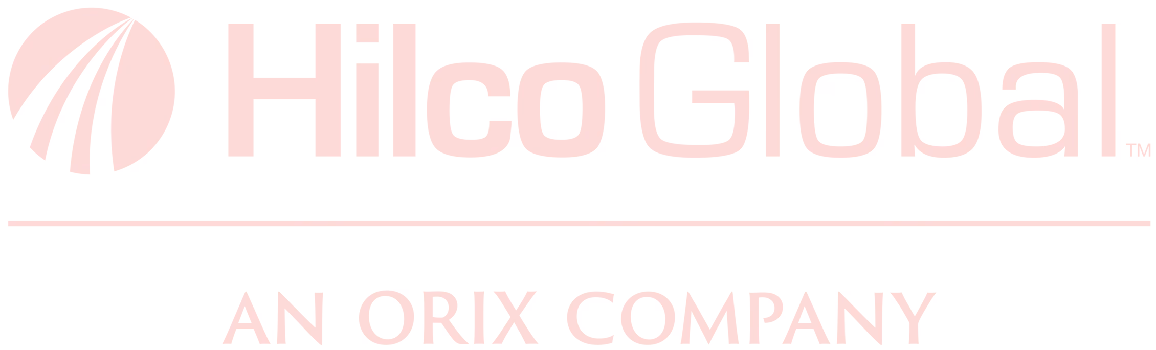 Hilco Global Logo