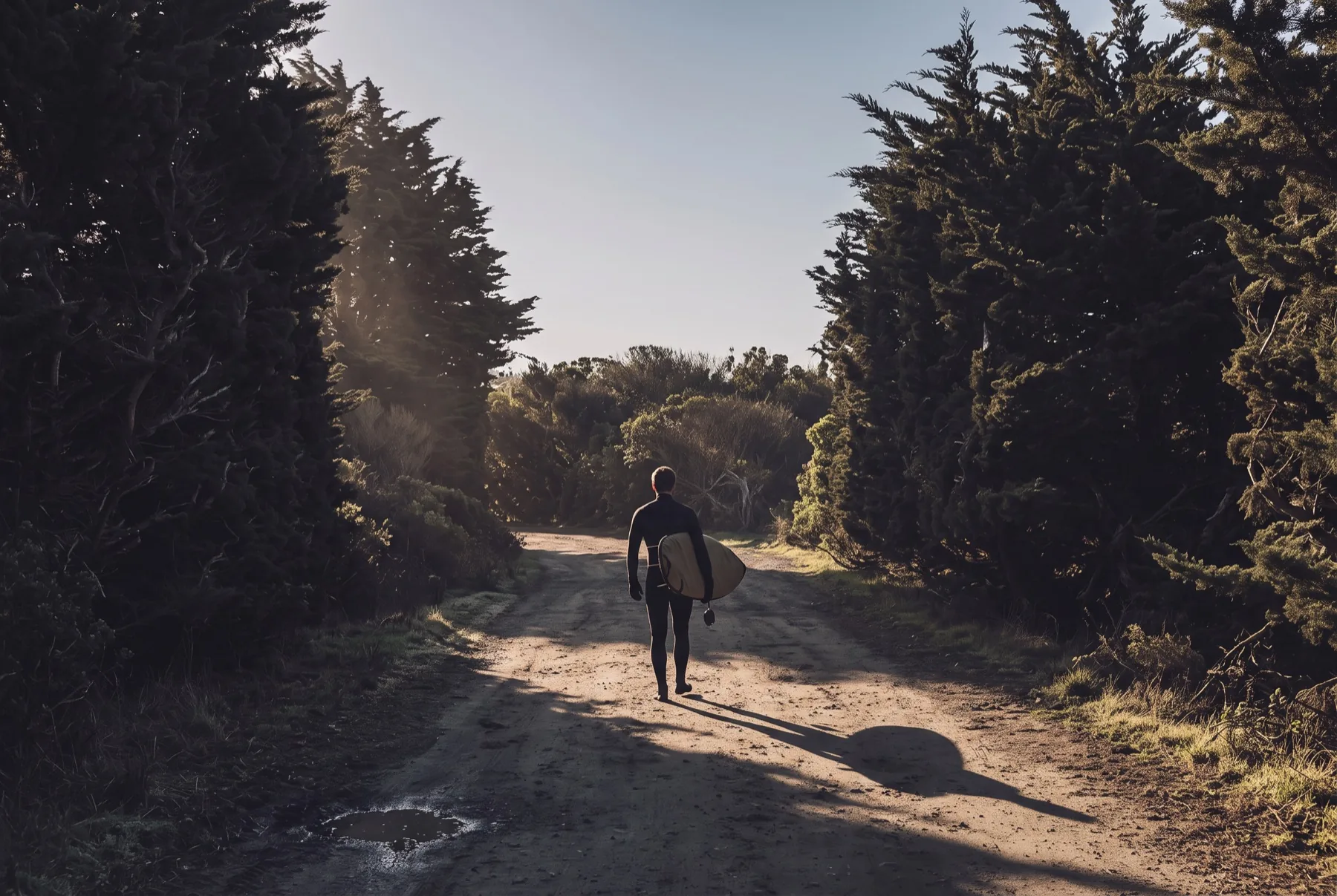 Walking a dirt track through cypress with a board under one arm