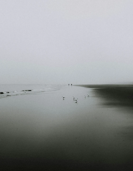 Minimal seascape with heavy fog and tiny distant figures along the shore.