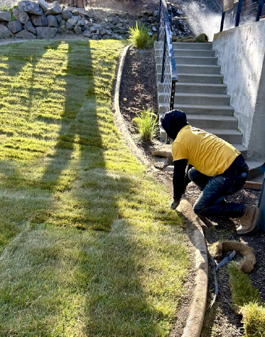 A sod installation project in west Wenatchee.