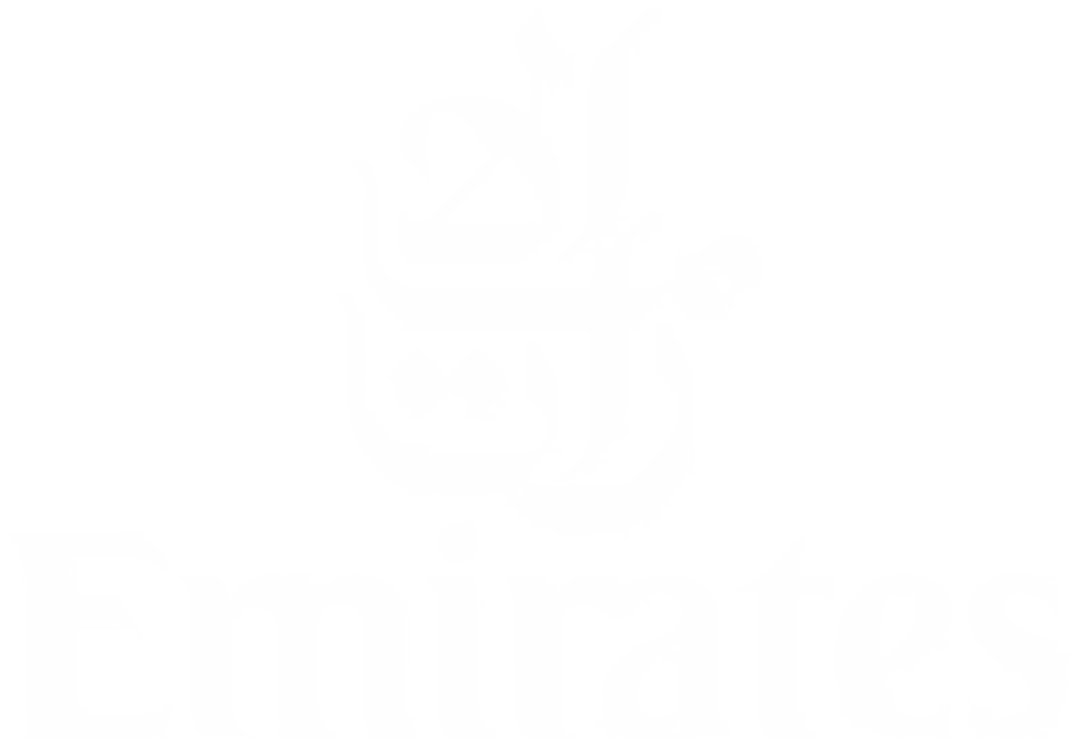 Emirates airlines
