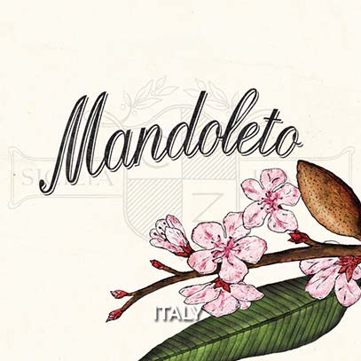 Mandoleto