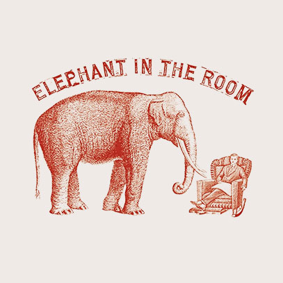 Elephant In The Room