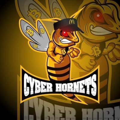 Cyber Hornets