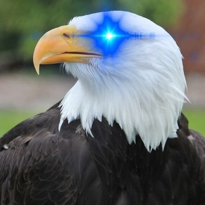 Bitcoin Eagle