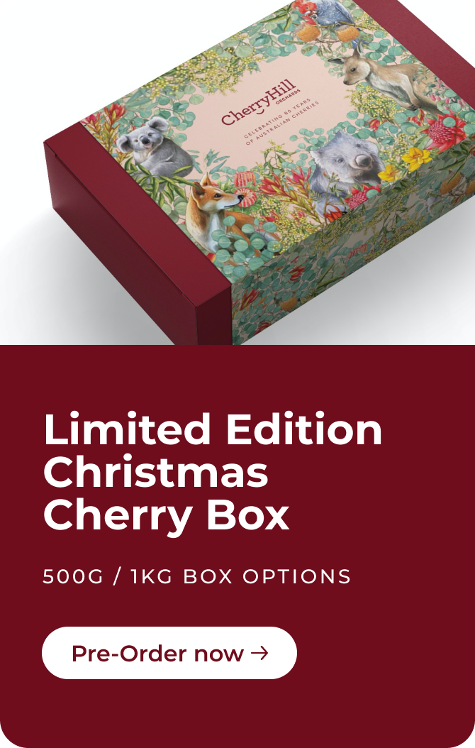 CherryHill Christmas cherry box packaging.