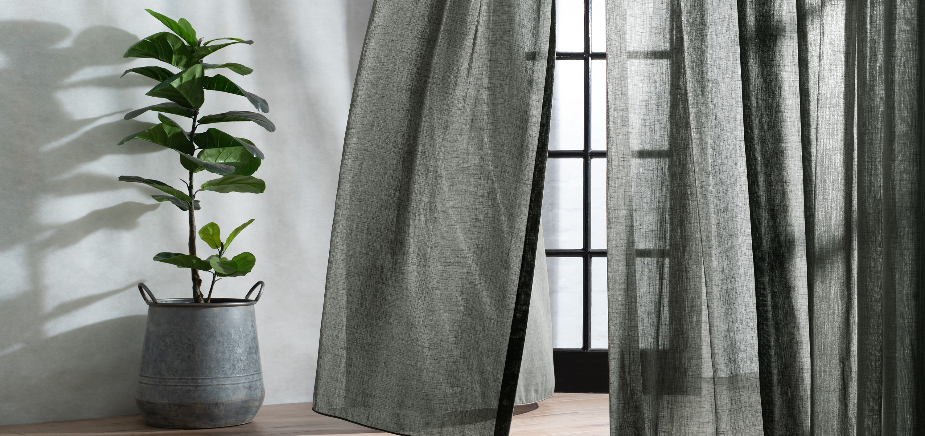 A leafy plant sits in front of a white wall, with a billowing curtain and window to the right