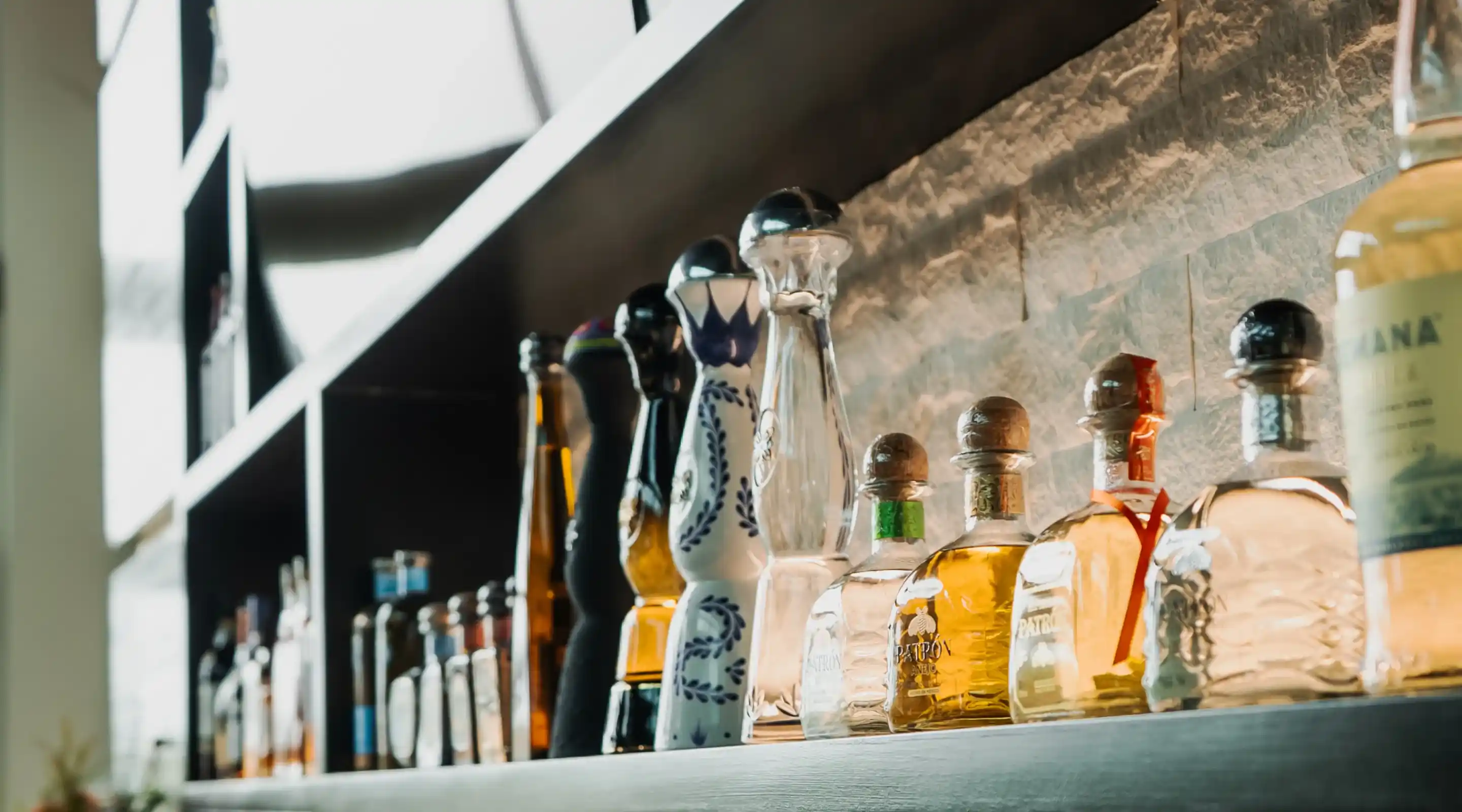 Zen Modern Asian Bistro events and sake pairing nights