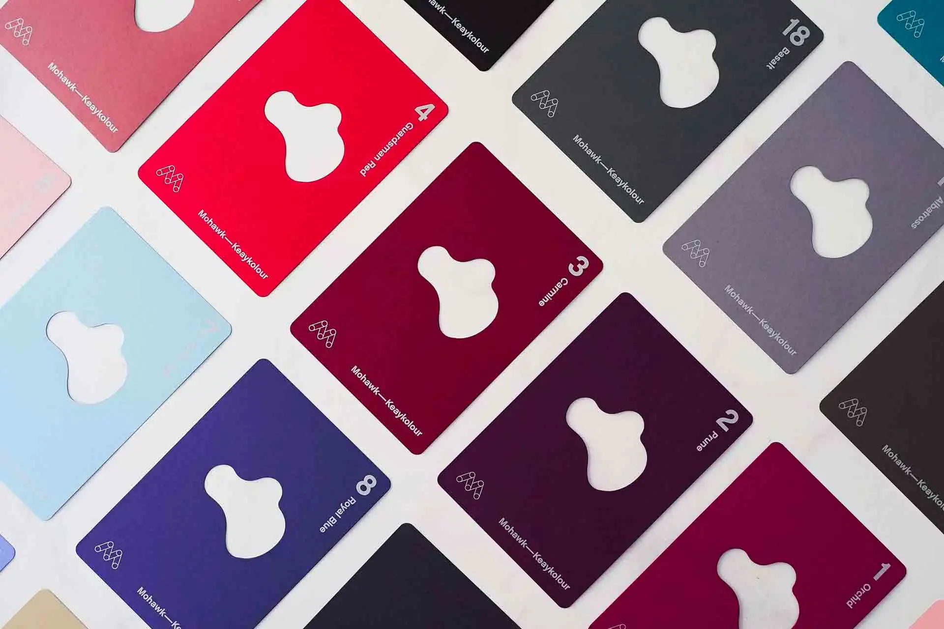 Visuel d'un branding et d'une palettechromatique