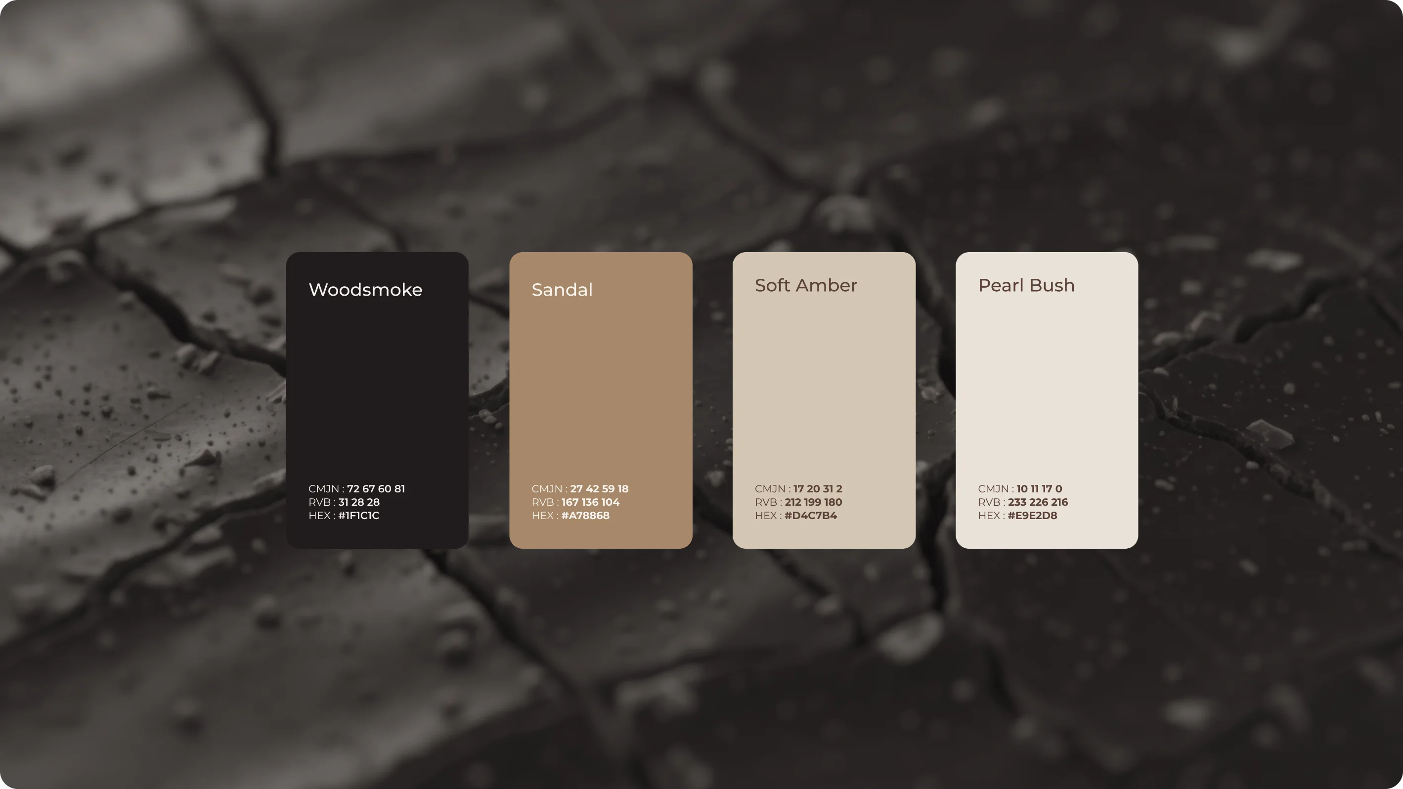 Palette de couleurs du branding de Baron Noir
