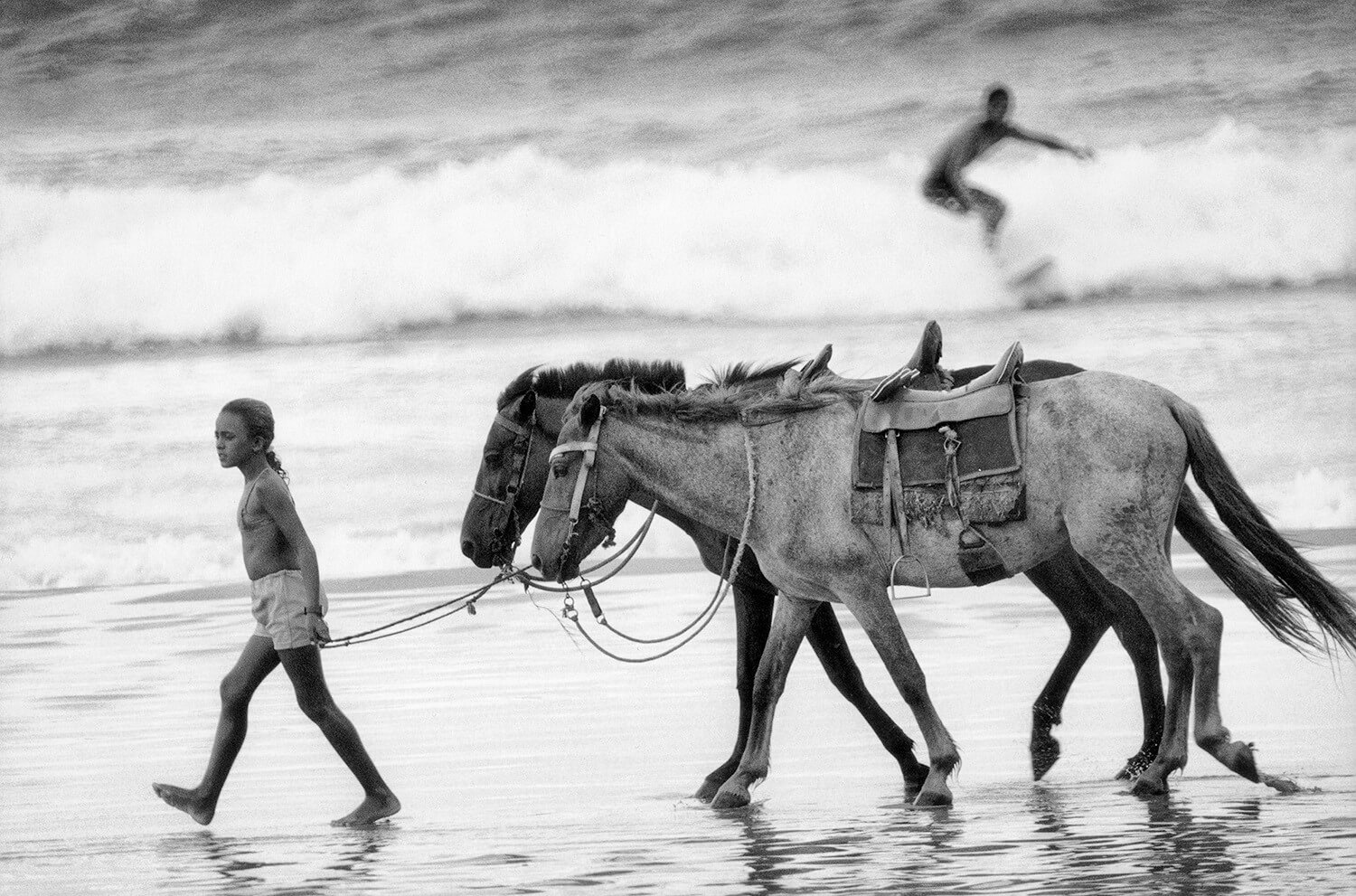 Elliott Erwitt