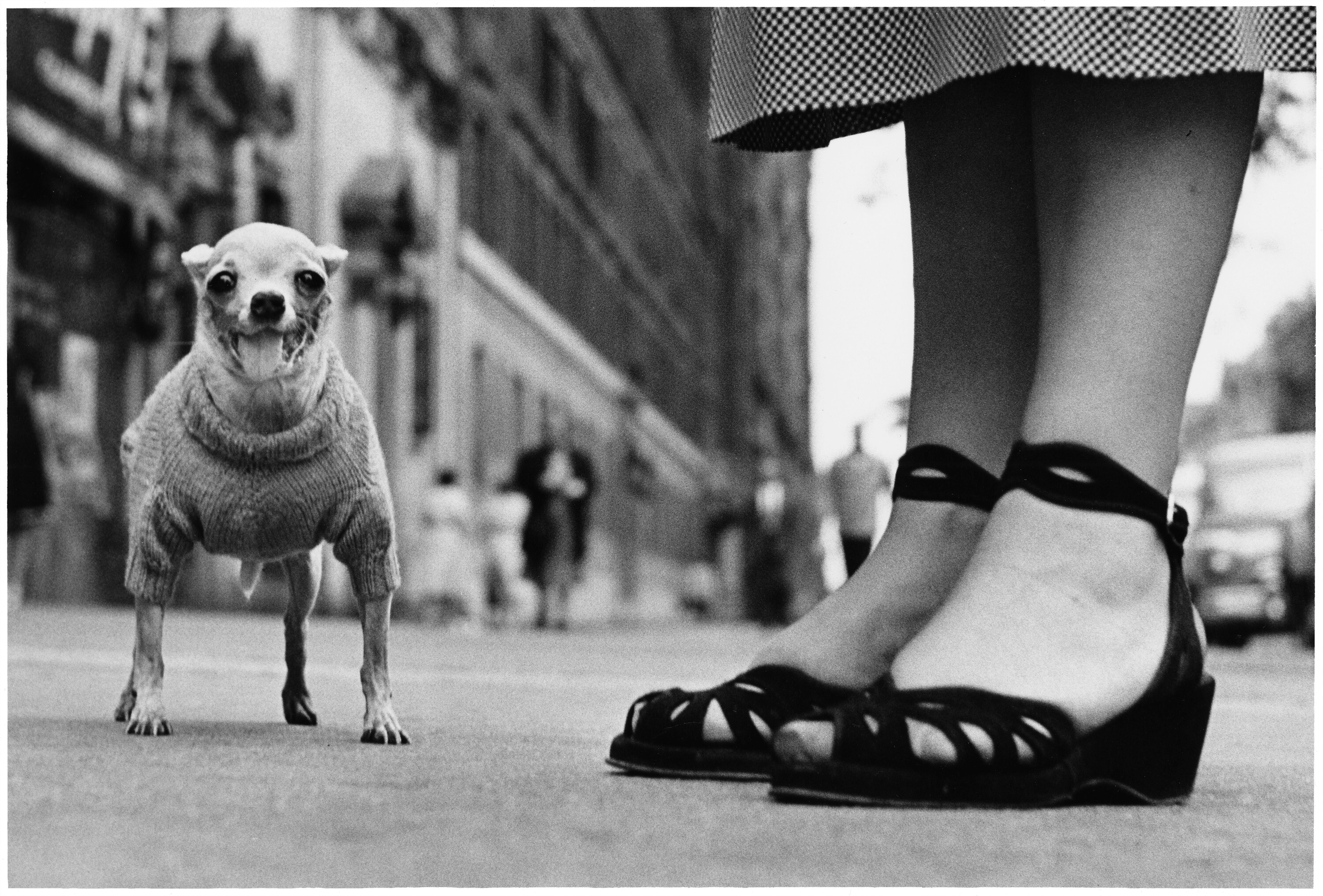 Elliott Erwitt