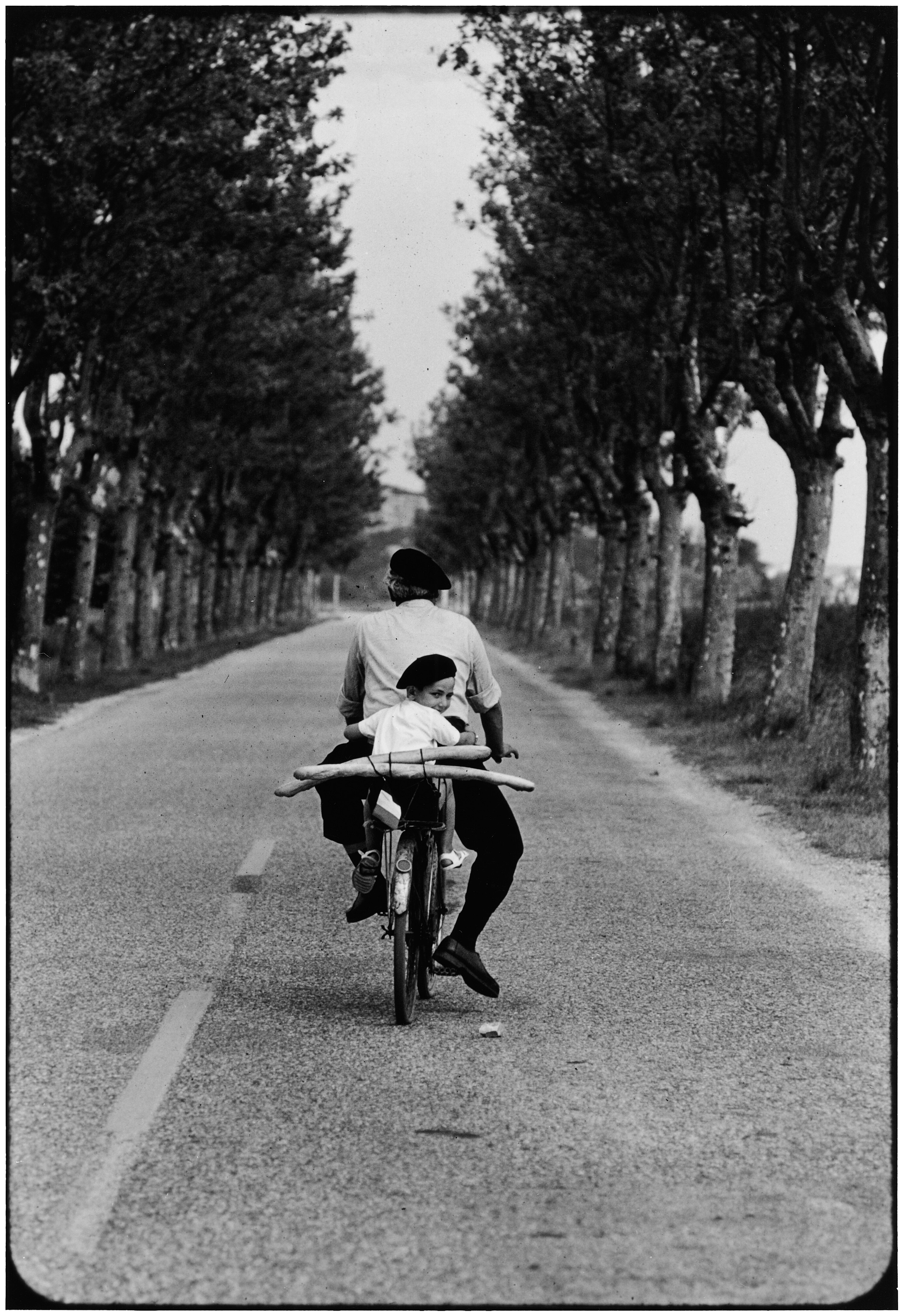 Elliott Erwitt