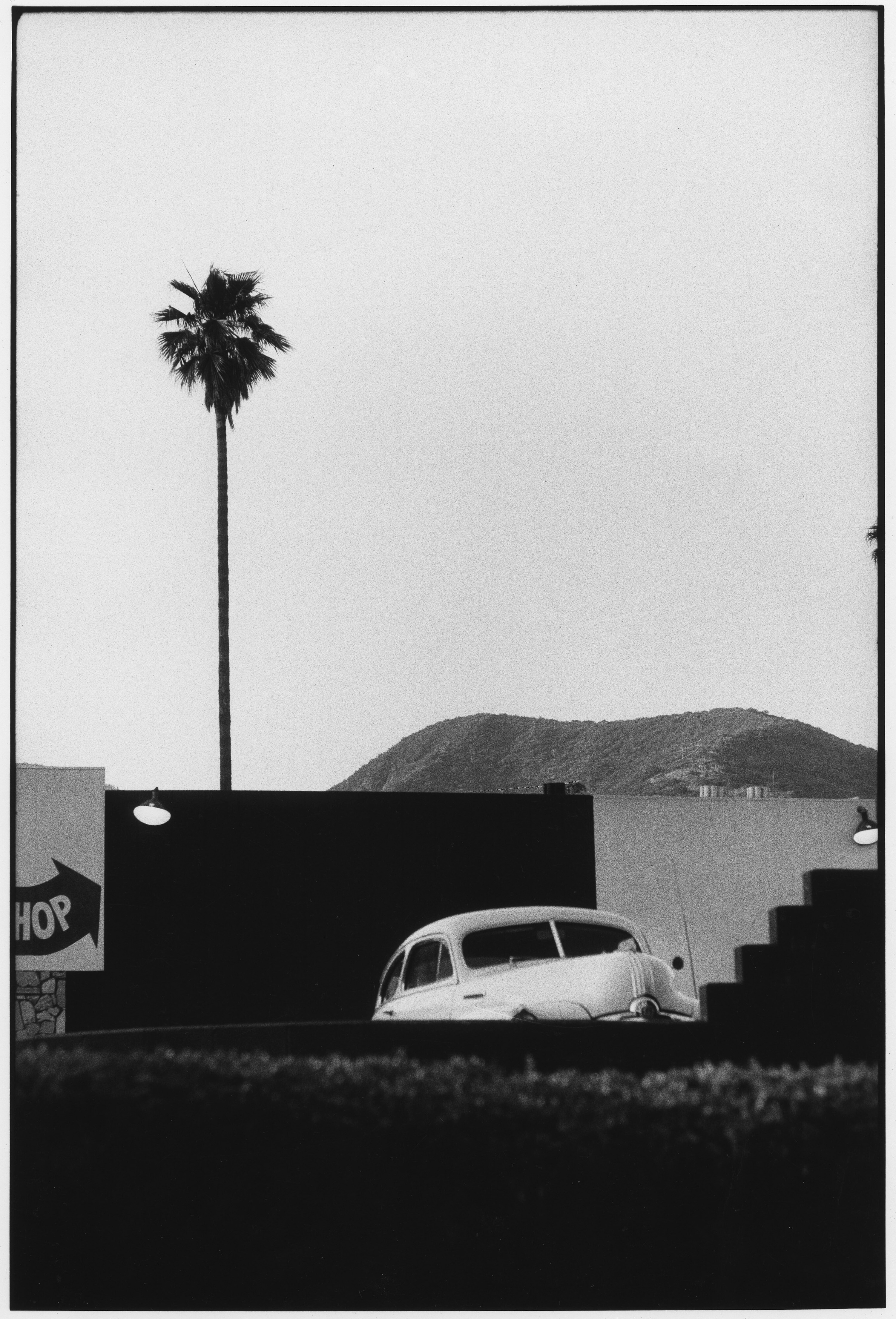 Elliott Erwitt