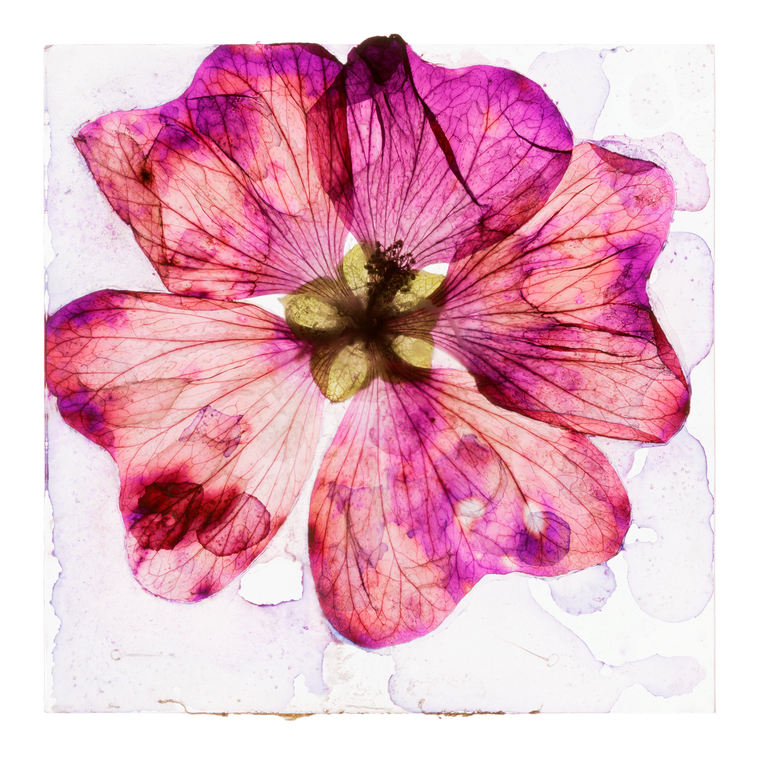 Brigitte Lustenberger