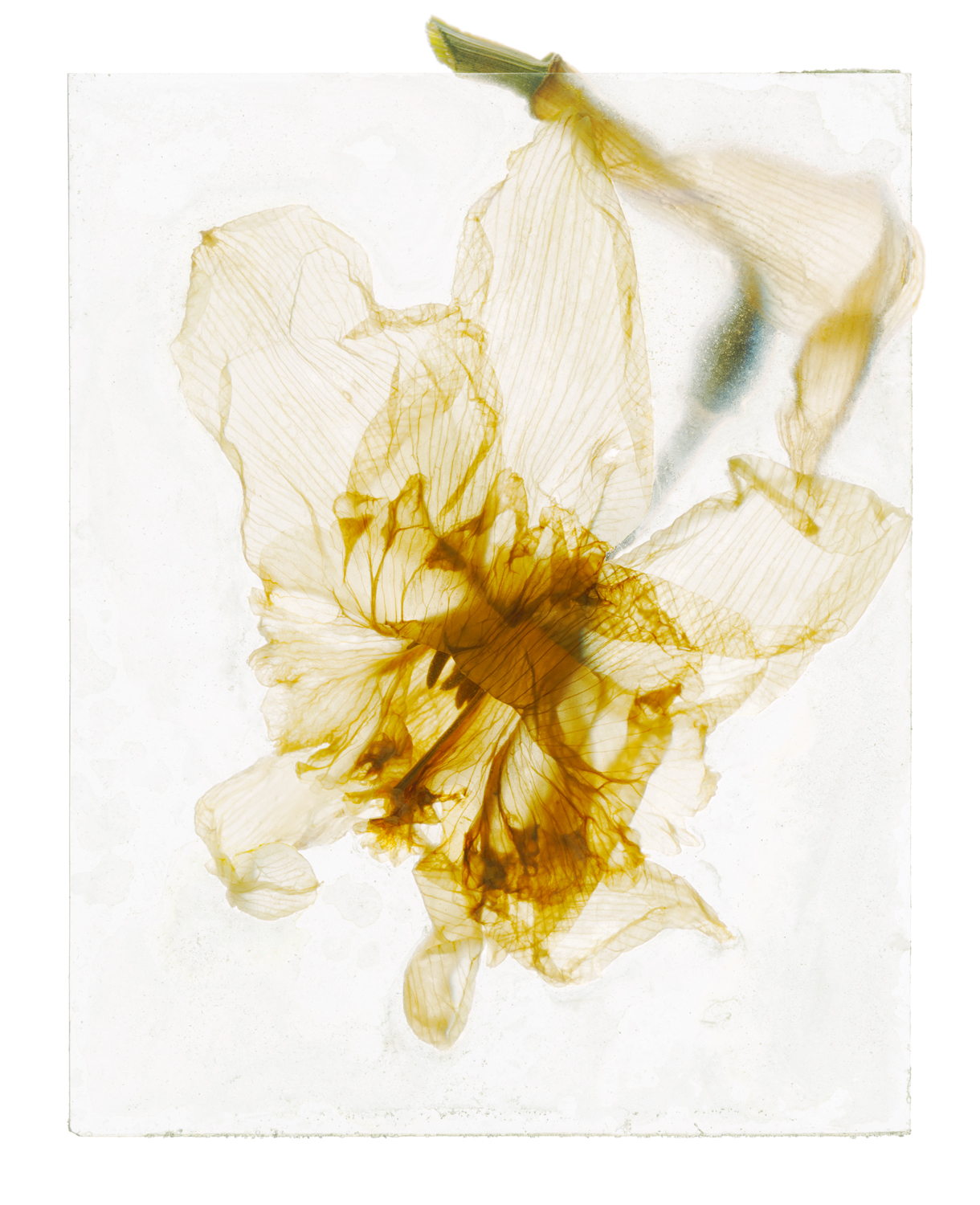 Brigitte Lustenberger