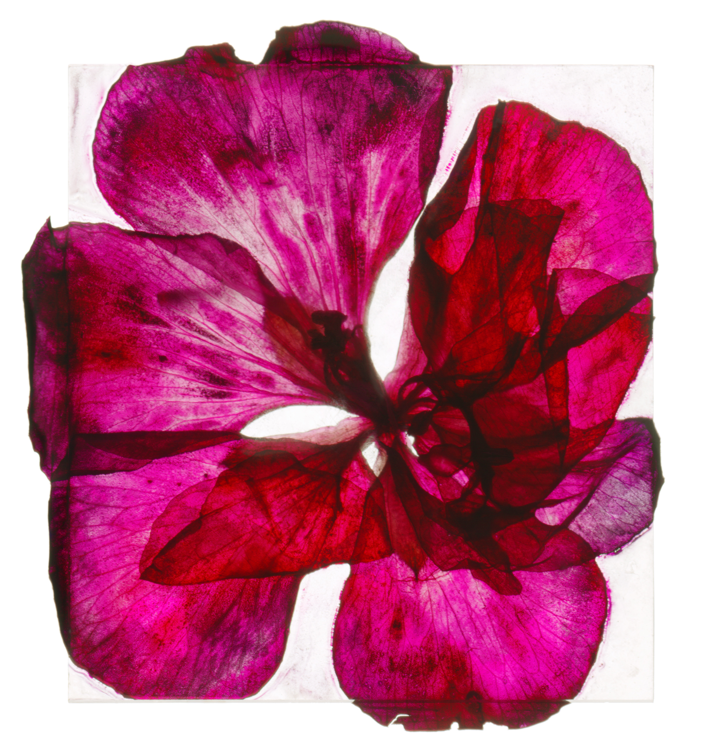 Brigitte Lustenberger