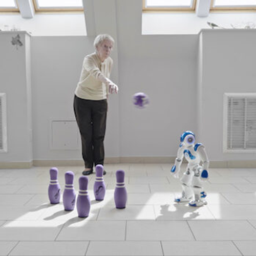 «L’année du robot» von Yves Gellie, Frankreich 2019