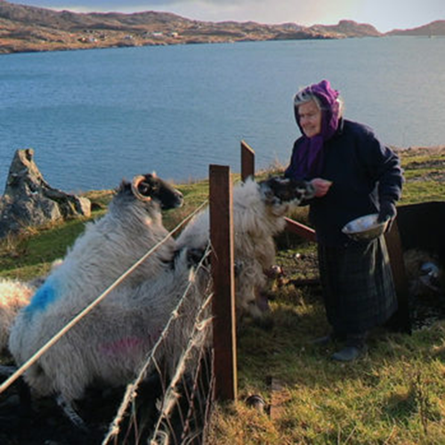 «Cailleach» von Rosie Reed Hillman, Grossbritannien 2014