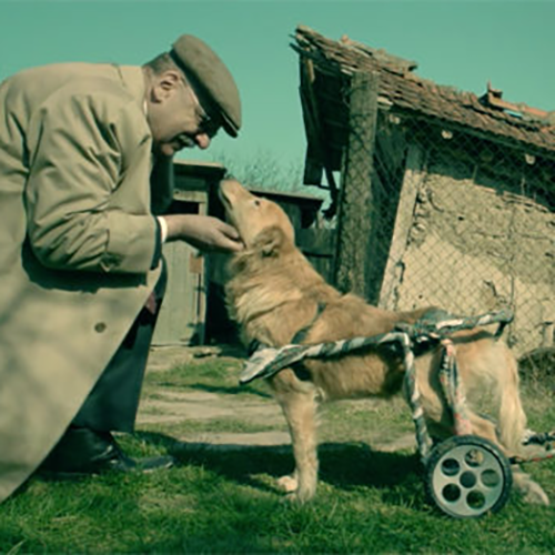 «237 de Ani» von Ioana Mischie, Rumänien / Frankreich 2015