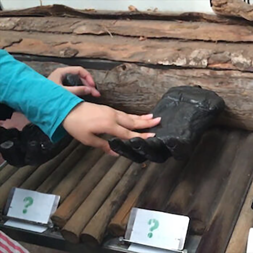 «Sollten Behinderte Bioeier kaufen» von Nikolaus Müller, Deutschland 2018