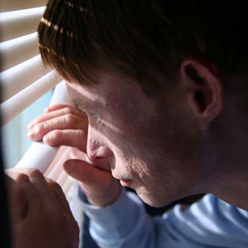 «Sunny Boy» von Jane Gull, England 2011